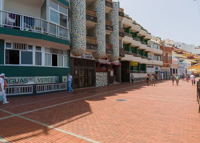 Rev By Canariasgetaway